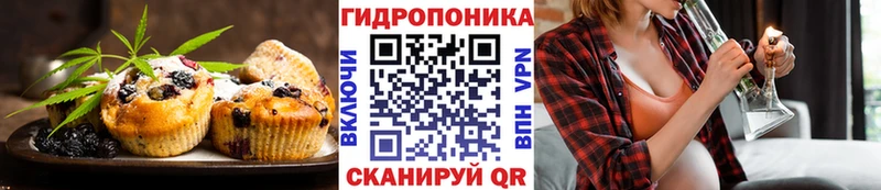Canna-Cookies конопля  Энем 