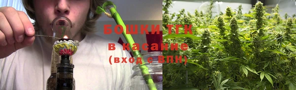 трава Надым