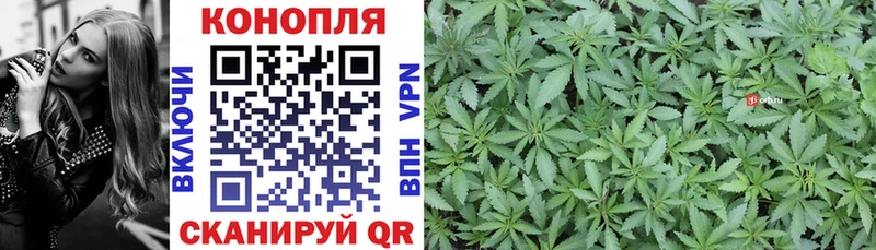 где можно купить   Энем  Канабис конопля 